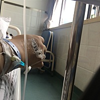 31 5双胎胎膜早破 保胎中🙏🙏🙏