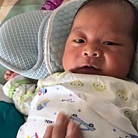 宝宝二十二天了，一天大便十次左右，是不是太多了？脸还是这么红，小手倒是挺白的，会变白吗？头发是不...