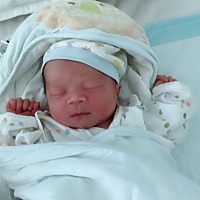 亲们 宝宝今天生了 没奶 吃什么呢 牛奶么