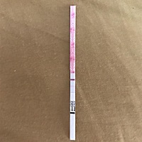 帮我看下 这是怀孕了吗？还没到月经期呢！