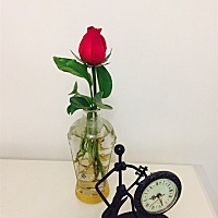 前几天老梦到孩子出生了，果不其然昨天生了，羊水破了就往医院走，到医院等着顺产等了16小时最终还是因...