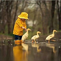 【八个道理让孩子拥有好教养】1、公平——游戏时遵守规则；2、感激——谢谢别人的好意；3、助人——在需...