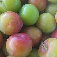 每天都要忙到这个点 还有很多事情没有忙完 但是真的困了 每天都过的很充实 喜欢这种忙不停的感觉