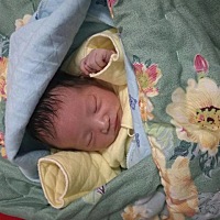 2018年5月5号下午16点49分出生 小丫头 妈妈爱你呦/亲亲/亲亲