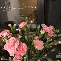 亲们宫寒月经不调，谁有偏方，求推荐