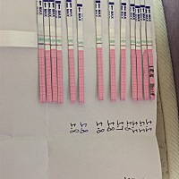 最下面的几根是昨天和今天的没写时间，我都快没信心了麻烦大家帮我看看