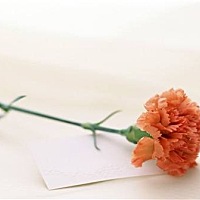 感恩母亲节！秀出与母亲的合影领取精美礼品！   一张照片一个故事   母亲节最好的礼物是陪伴