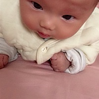 宝宝2个月14天 会抬头了