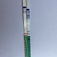 月经推迟两天，图片是早上测的，请各位姐妹帮忙看看有没有怀孕？