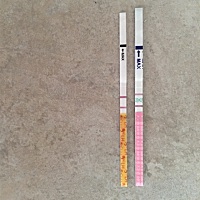 用两种排卵试纸都测出强阳，还有三天来例假。怎么回事啊？早晨用早早孕测的白板，有没有希望怀孕啊？