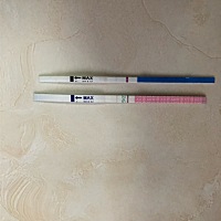 请各位姐妹们看看，我是否怀孕了？蓝色是早早孕试纸，粉色是排卵试纸。