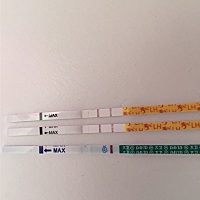 今天测早早孕依旧白板，排卵试纸持续强阳，例假还有两天，怎么回事啊，心累…