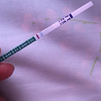 排卵第十二天，大卫试纸跟昨天一样，一丢丢的灰印，是不是我想的太多，出现假孕了，😭