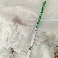 我都觉得试纸是不是有问题了 哈哈 啥也没有