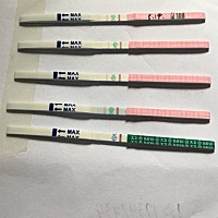 连续三天排卵试纸都是弱阳，今天测了早早孕，好像都出现意念灰了，请问大家排卵期后多少天可以测是否怀孕？