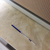 备孕两个多月了，其实一直都是顺其自然，然后最近老是困，还能吃，我嫂子说我可能怀孕了，昨晚回家测了...