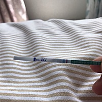 七号排卵 眼睛都要看瞎了