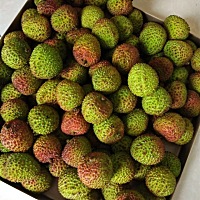 老公给我买的新鲜荔枝到货！哈哈
