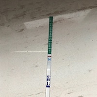 同床后的16天， 今天用早孕试纸测的 ，比较浅，之前两天也测了，逐渐加深，这是怀孕了吗