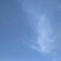 自己过得好就是最大的孝顺！别为了听父母的话而放弃了自己的最爱、自己的坚持，否则等到日后自己过得不...