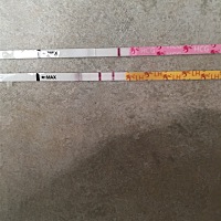 请问各位宝妈，有没有例假前四天测出排卵试纸强阳，持续几天不减弱，但是早孕是白板的情况的啊？还有一...