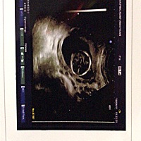 麻烦大家帮忙看看是男是女❤️谢谢🙏