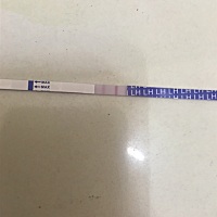 姨妈推迟一天，排卵试纸测的是有了吗？