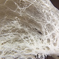 高倍镜头下的纯天然燕窝的细节 可以清晰的看到燕窝的纹理 丝丝相扣 以及小黑点和幼毛  这些都是纯天然的...