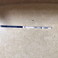 月经今天推迟第五天了，第一张是昨天早上测的，第二张是今天早上测的，这是真有还是诈胡，怎么这么浅，...