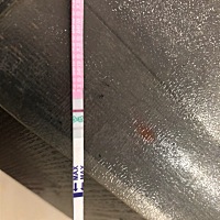 亲们，请问我这个排卵了吗？