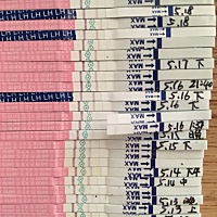 测了6天排卵试纸，都是弱阳，忍不住去做了个B超，却说没有优势卵泡是怎么回事～有阳性却没有优势卵泡！...