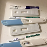 希望健康宝宝已在我腹中，姨妈推迟第三天，明天医院检查确认。