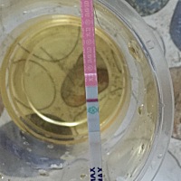 这是开始排卵了吗？