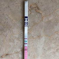 这个是不是要排卵的节奏了？