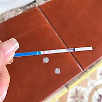 月经才拖一天就试了，这么明显？这是怀孕了？