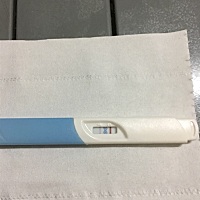 好激动不知道是不是真的？可是我明明有多囊啊，而且晚上测不知道准不准。