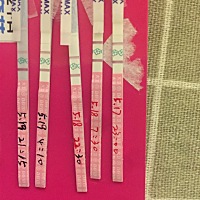 下图是不是卵子等精子 在线等 求解析