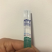 今天是来大姨妈的日子，最近四天测的晨尿如下，是不是确定有了呢？今天可不可以去医院验血了？