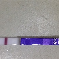 各位亲爱的，麻烦帮我看看，这是今早测的，月经推迟六天，是怀孕了还是？