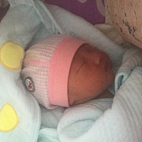 听话的乖宝宝。从此不再是一个人。