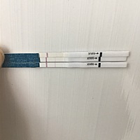 最下面是今天测的，是不是有了