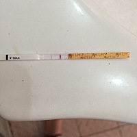 懂看的帮个忙，这是什么情况？