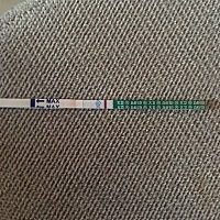 大神们.验孕棒是不是两杠.可是今天早上测却是一杠了。请宝妈告知是否怀孕了。四月十二小时的月经期。