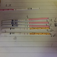 是不是要排卵啦