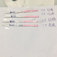 是不是排卵了？可以同房了是吗