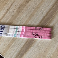 卵泡发育到1.8*1.2了，试纸还是弱阳～这个卵泡能发育成熟吗？上个月发育到2.0*1.2就排了，结果没中～真...