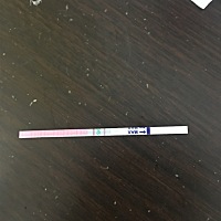 末次月经10号，14号结束了月经，15号开始测试排卵一直都是弱阳。这是今天测的。美柚上面说26号排卵日，...