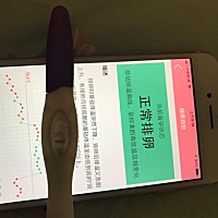 姐妹们帮我看看 我是不是看意念灰了 这是两个试纸