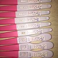 今天已排卵、希望这个月宝宝能来！