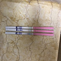 第一根是5.22早上测的，有同房。第二根5.23早上测的，第三根5.23晚上测的，难道排卵了？有没有人看得懂...